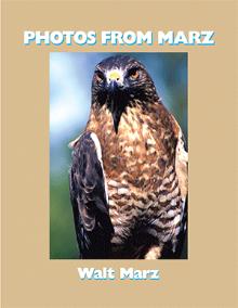 Photos From Marz