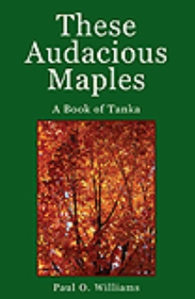 These Audacious Maples
