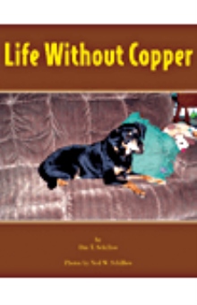 Life Without Copper