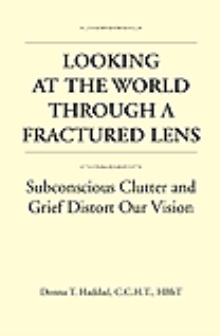 Looking At The World Through a Fractured Lens