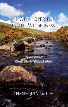 The Well Experience in the Wilderness