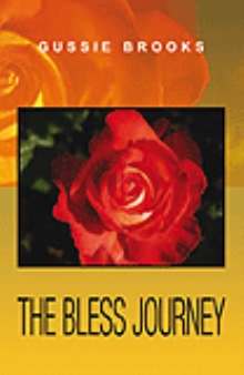 The Bless Journey