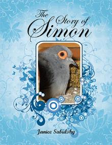 The Story Of Simon