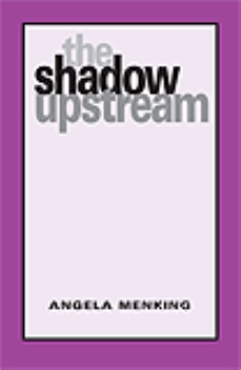 The Shadow Upstream