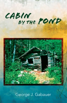 Cabin by the Pond