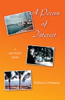 A Person of Interest