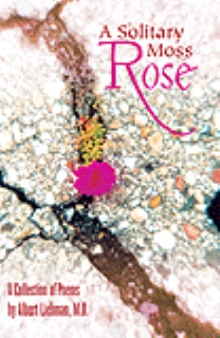 A Solitary Moss Rose