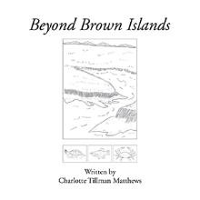 Beyond Brown Islands