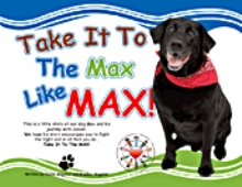 Take It To The Max Like MAX!