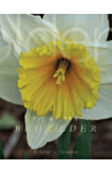 Eye of the Beholder