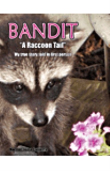 Bandit ''A Raccoon Tail''