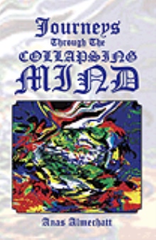 Journeys Through The Collapsing Mind