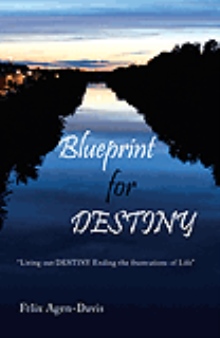 Blueprint for DESTINY
