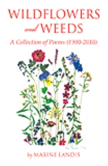 Wildflowers and Weeds