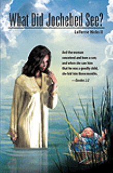 What Did Jochebed See?