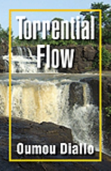 Torrential Flow