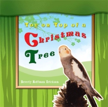 Toy on Top of a Christmas Tree