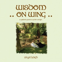 Wisdom On Wing