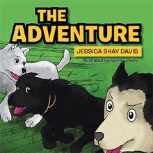 THE ADVENTURE