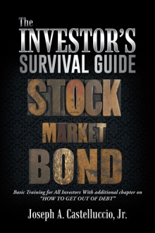 THE INVESTOR’S SURVIVAL GUIDE