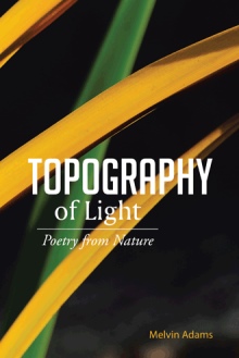 Topography of Light