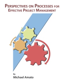 Perspectives on Processes for Effective Project Management