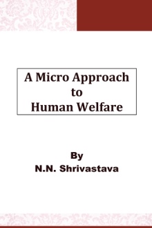 A  Micro Approach to Human Welfare
