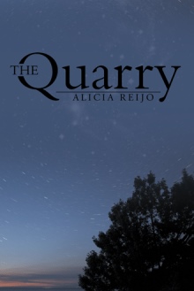 The Quarry