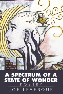 A Spectrum of a State of Wonder