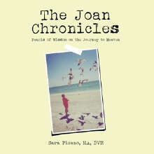 The Joan Chronicles
