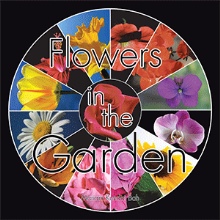 Flowers in the Garden