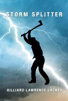 Storm Splitter