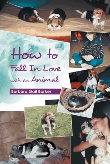 How to Fall In Love with an Animal