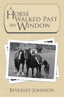 A Horse Walked Past My Window