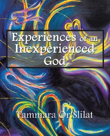 Experiences of an Inexperienced God
