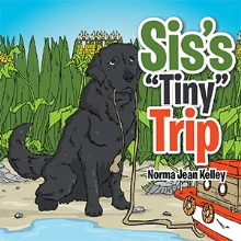 Sis's “Tiny” Trip
