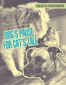 Dog’s Pause for Cat’s Tale