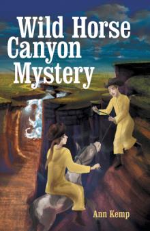 Wild Horse Canyon Mystery