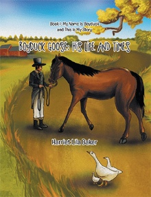 Boyduck Goose: His Life And Times