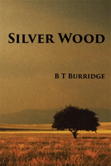 Silver Wood