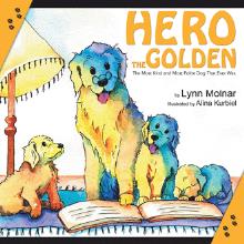 Hero the Golden