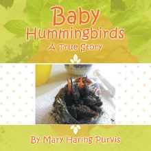 Baby Hummingbirds