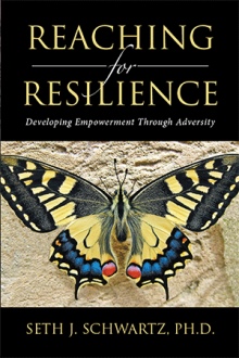 Reaching for Resilience: