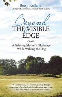 Beyond the Visible Edge