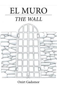 El muro