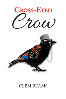 Cross-Eyed Crow