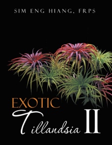 Exotic Tillandsia II