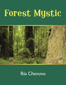 Forest Mystic