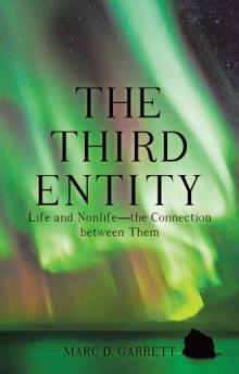 The Third Entity