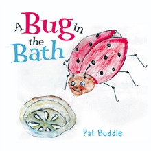 A Bug in the Bath